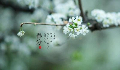 Ciri-ciri Dan Adat Istiadat Istilah Matahari Ekuinoks Musim Semi